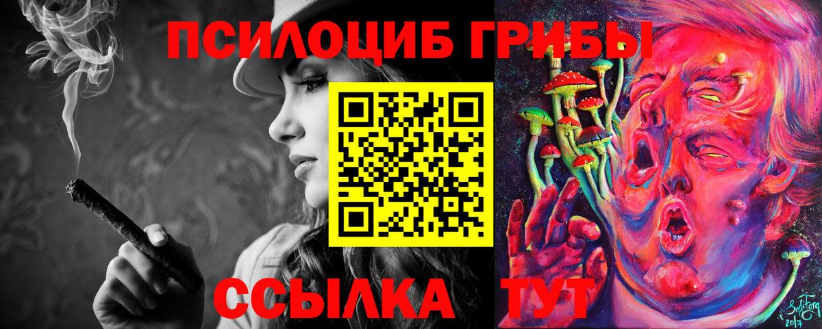 Ачинск  Галлюциногенные грибы Psilocybine cubensis  закладка  Вход с VPN 